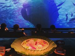 -地球美食剧场