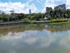 -四海公园(南山区)