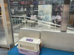-美联众合爱康动物医院•复杂内科•肿瘤科•牙科•腔镜诊疗中心