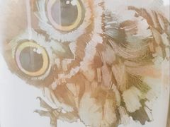 -沃洛格达(万象城n次方店)