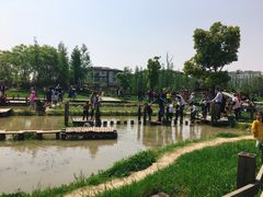 -田园东方蜜桃村的田野营地