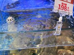-七欣天香辣蟹火锅(无锡锡沪西路店)