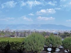 -崇圣寺三塔文化旅游区