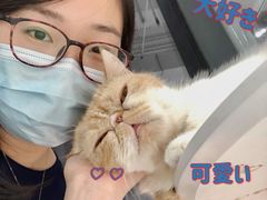 -怪兽屋·羊驼·猫咖·狗咖(俊华广场店)