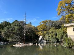 -昆明动物园