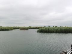 -苏州太湖湖滨国家湿地公园