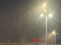 -小四川美食馆(幸福路店)