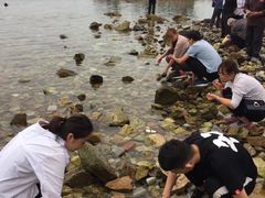 -养马岛旅游度假区