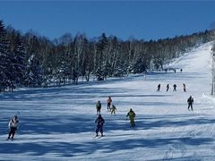 -亚布力新体委滑雪场