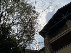 -浙江安吉JW万豪酒店