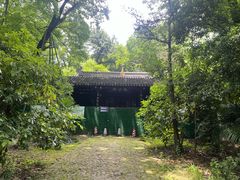-灵谷景区