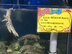 水产区-蚝专家(北滘店)