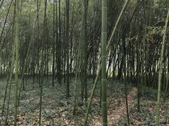 -兰亭风景区