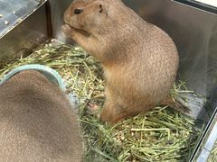 -瑞虹新天地月亮湾