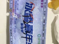 -绿野森林乐园冰雪季