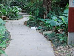 -深圳国际园林花卉博览园