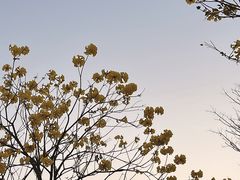 -白石龙音乐公园