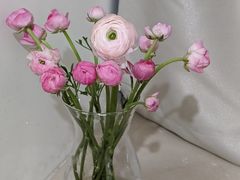 -双季花艺园艺市场(浦东店)