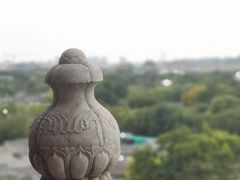 -金春禧(先天下店)