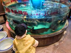 -魏铭鱼头捞饭(晋阳路店)