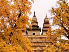 -北京石刻艺术博物馆(五塔寺)