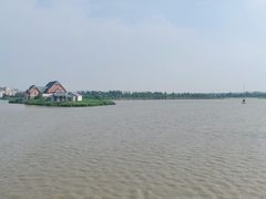 -荷兰花海