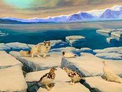 -陕西自然博物馆