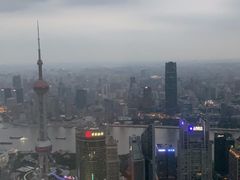 -上海柏悦酒店
