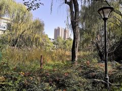 -西安市长乐公园