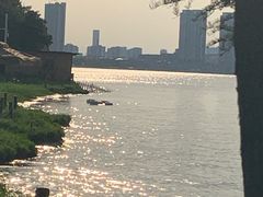 -瑶湖郊野森林公园