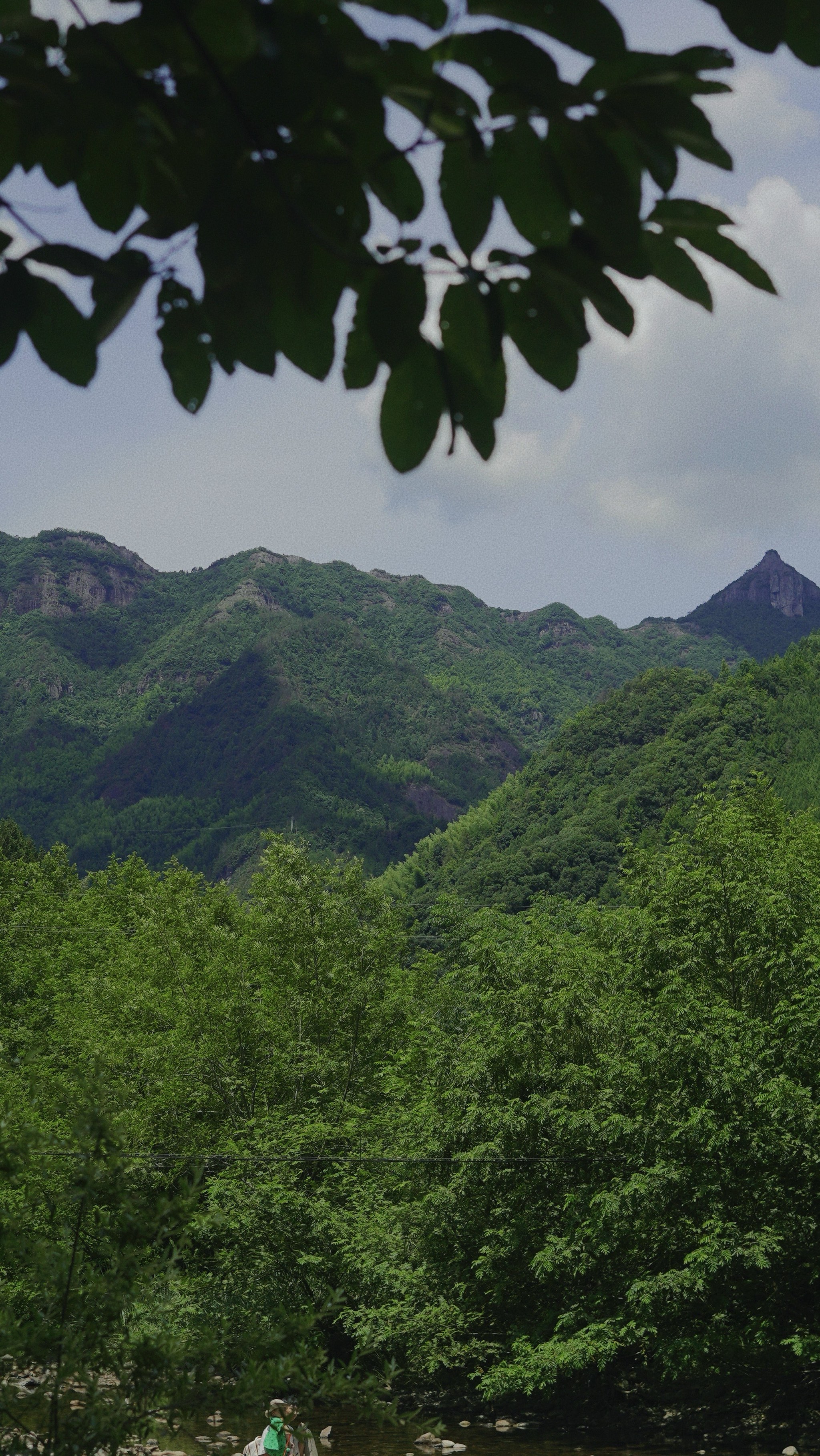 青山含黛,绿水如诗
青山的轮廓勾勒