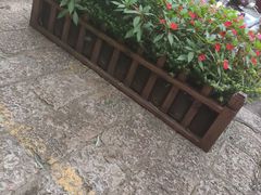 -木王宴语·野生鲜菌火锅(玉河店)