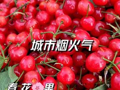 -大观篆新农贸市场