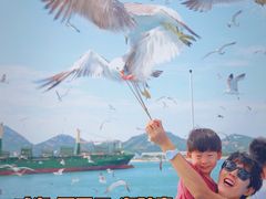 -海驴岛(荣成市)