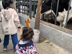 -洪湖家庭农场·团建·露营·会议