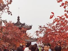 -狼牙山风景区