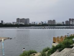 -长白岛森林公园