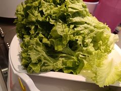 -龍歌自助小火锅(市北CBD万达店)