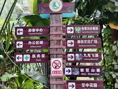 -西双版纳原始森林公园