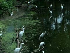 -红海滩国家风景廊道