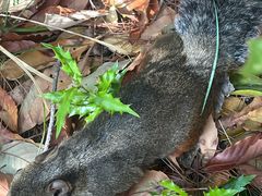 -重庆云阳龙缸景区