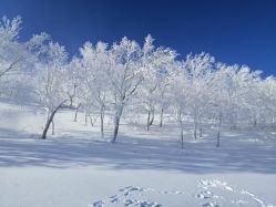-大秃顶子山
