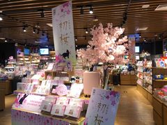 -九木杂物社(新奥购物中心店)