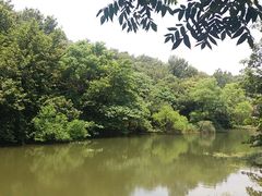 -白马涧龙池景区