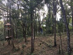 -清迈丛林飞跃 JungleFlight