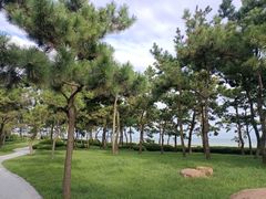 -八大峡公园