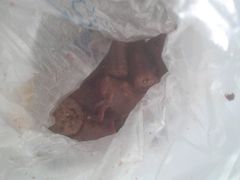 -绝味鸭脖(碧凤坊二店)