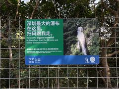 -马峦山郊野公园