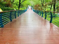 -上海吴淞炮台湾国家湿地公园