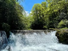 -龙苍沟森林公园